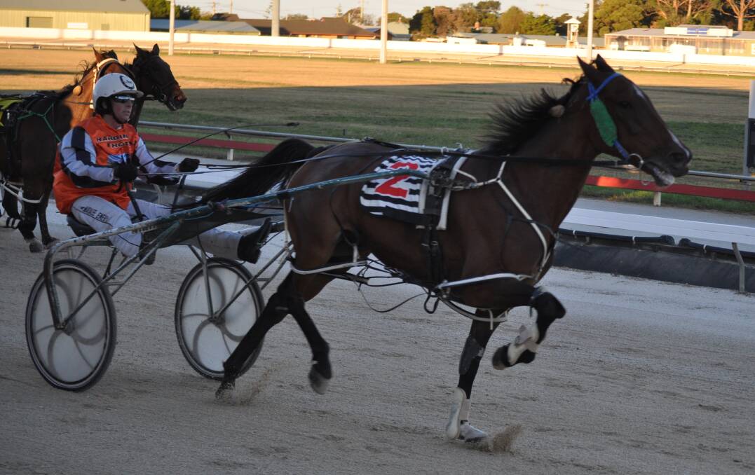 COMEBACK: Washies Chance, driven by Natalee Emery, wins in Devonport on Friday night. The gelding is on the comeback trail after being retired due to injury. Picture: Greg Mansfield
