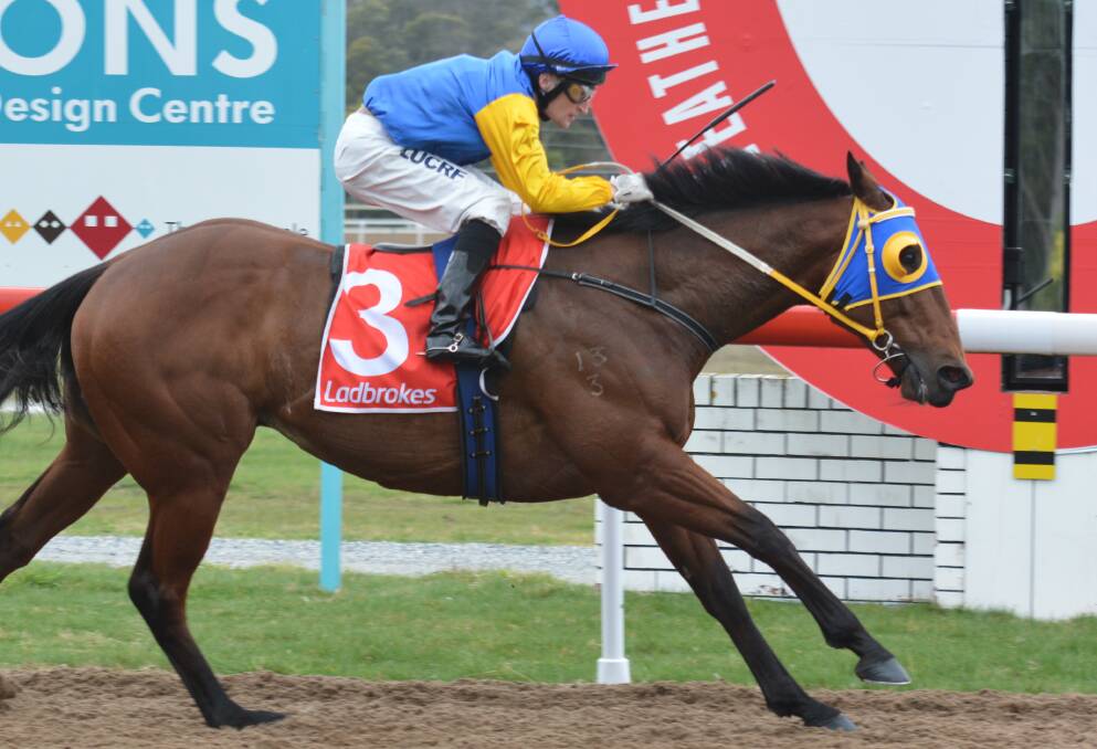 MAKING DEBUT: Trojan Storm will be one of six rides for apprentice Brandon Louis at Mowbray on Wednesday night. Louis is from Mauritius and has been riding in WA.
