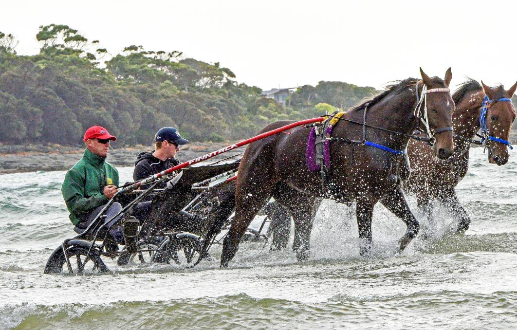 GETTING READY: Ryley Major, with Rohan Hillier in the sulky, exercises in the water at Greens Beach in preparation for Saturday night's Easter Cup final at Mowbray. Picture: Stacey Lear. 