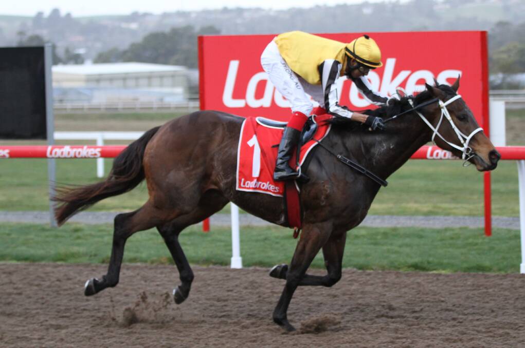 Brandon Louis wins on Galway Girl at Spreyton. He was later suspended for careless riding. Picture: Brad Cole