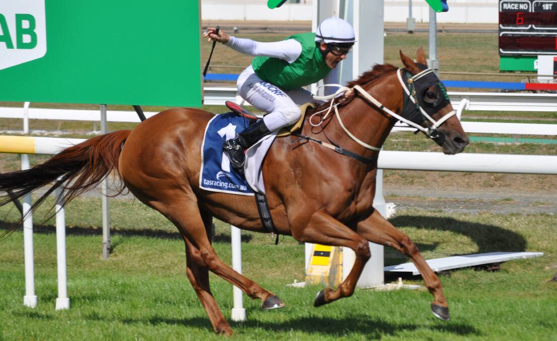 UNFINISHED BUSINESS: Dual horse-of-the-year Hellova Street will be chasing his first win over the Mowbray 1400m course in Wednesday night's $100,000 Conquering Stakes.