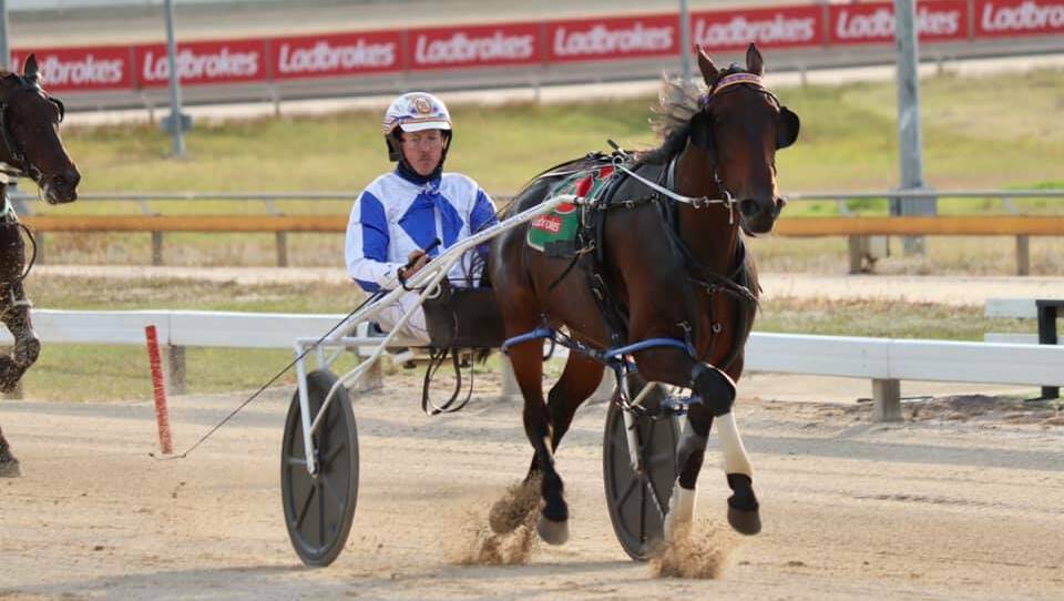 TOO GOOD: Victorian mare Elita, driven by former Tasmanian Alex Ashwood, wins in Hobart on Sunday night. Picture: Tasmanian Trotting Club (Facebook)