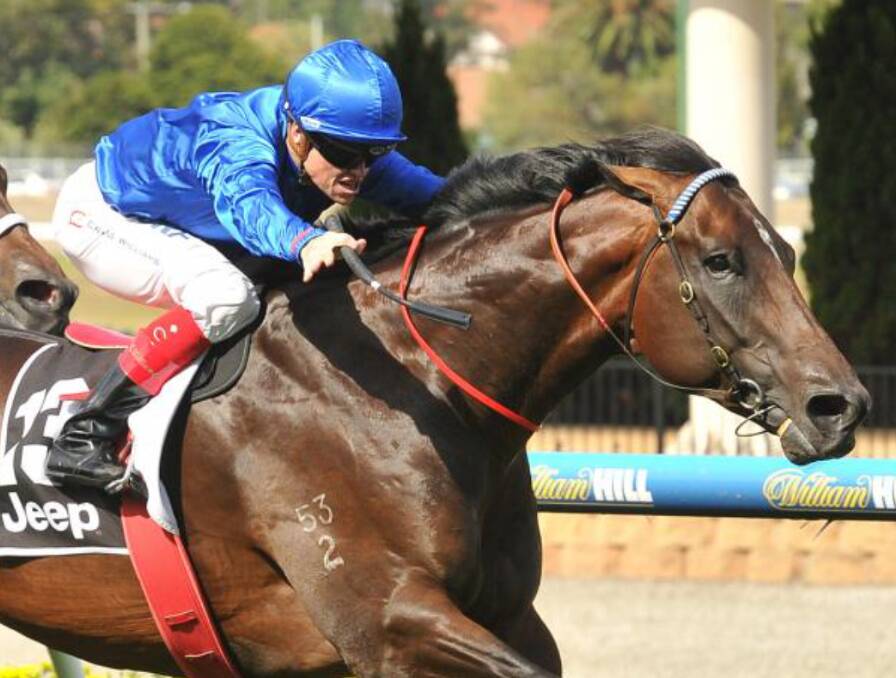 Holler, a group 1 winner for Godolphin, is to stand at stud in Tasmania.