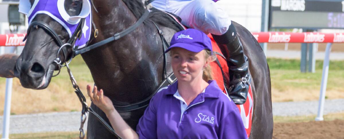 Hannah Van dongen strapping Devonport Cup winner Newhart. She trained her first harness winner on Friday.