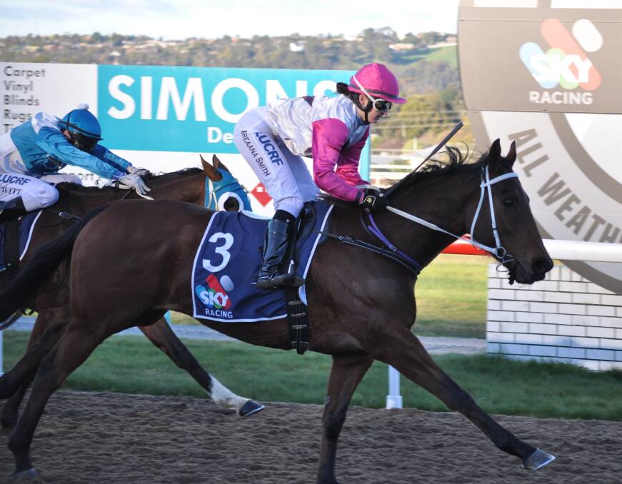 CUP DAY HOPE: Rougeau, ridden by apprentice Breanna Smith, wins at Spreyton last season. Craig Newitt will take over on the veteran when he races at Spreyton on Melbourne Cup Day. Picture: Greg Mansfield