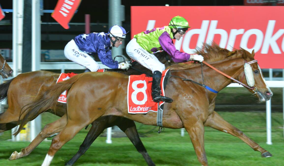 ON TARGET: Gee Gee Secondover, ridden by Craig Newitt, just beats Blaze Forth in the $30,000 Goodwood Handicap at Mowbray on Wednesday night.