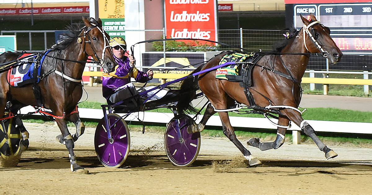 SECOND UP: Ryley Major, driven by Rohan Hillier, wins the Tasmania Cup. The star pacer was surprisingly beaten when resuming but will try to bounce back in Hobart on Sunday night. Picture: Stacey Lear
