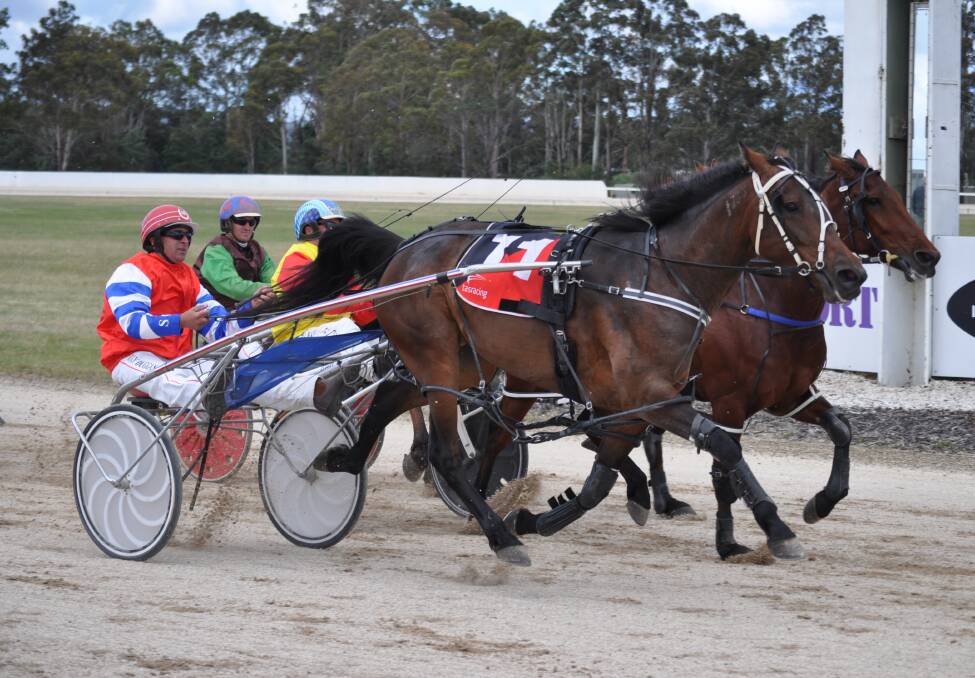 DANCING TO VICTORY: Ima Ginger Rogers storms down the outside to give driver Ricky Duggan one of his four winners at Sunday's Carrick harness meeting. Picture: Greg Mansfield