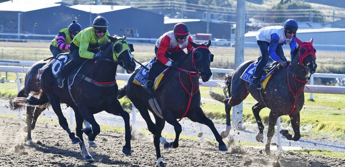 SPRING BOUND: Mystic Journey (centre), ridden by David Pires, trials at Spreyton on Tuesday in preparation for another Melbourne spring campaign. Pictures: Brodie Weeding
