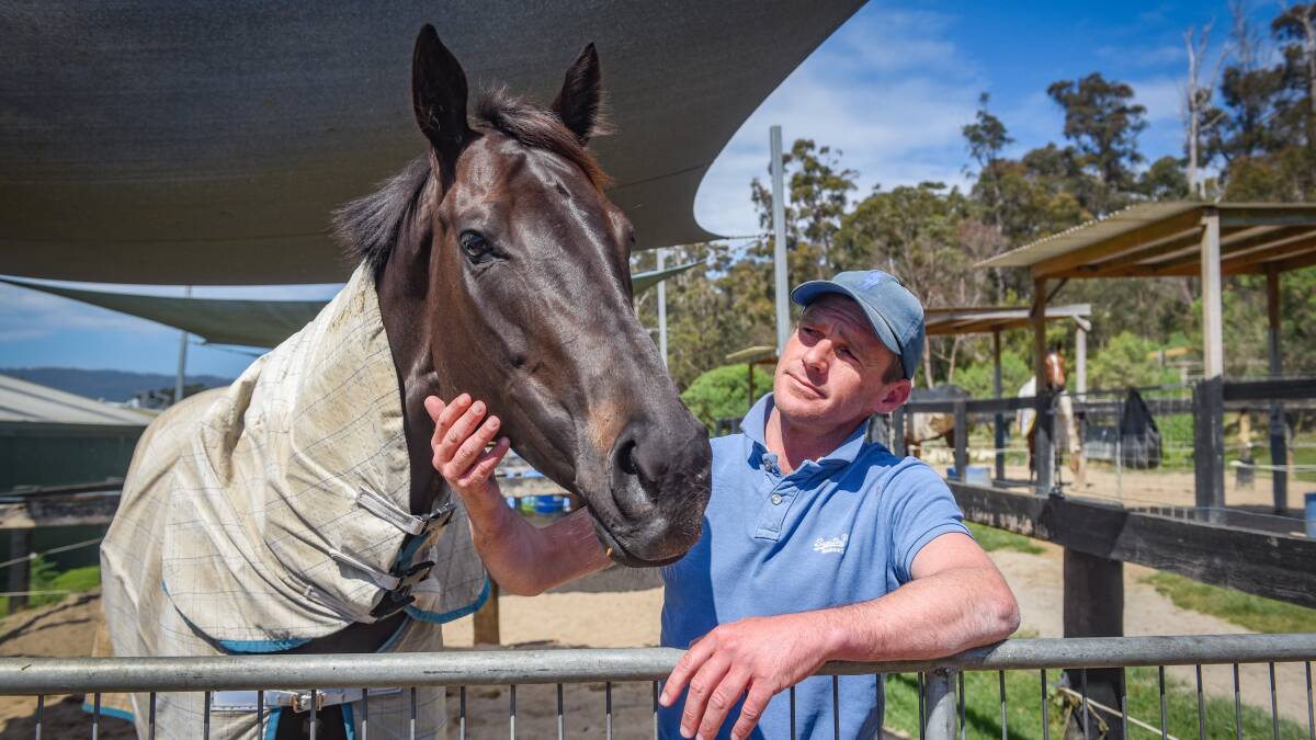 HEADING BACK: Mystic Journey with trainer Adam Trinder at his Spreyton stables.