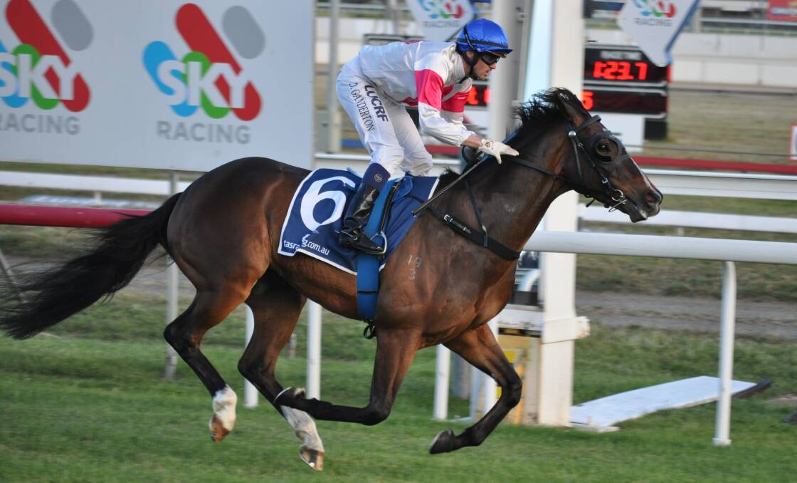 HE'S BACK: Mulley's Idol, ridden by Daniel Ganderton, regained his old form to record an easy win in the R M Bertram (Bm58) Handicap at Mowbray on Wednesday night. Picture: Greg Mansfield