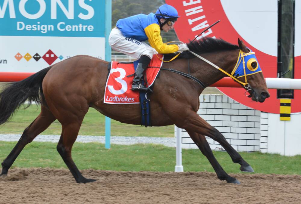 DOUBLE: Well-travelled gelding Trojan Storm, ridden by Craig Newitt, completes a double for trainer Cameron Thompson in the Benchmark 58 Handicap at Spreyton on Sunday.