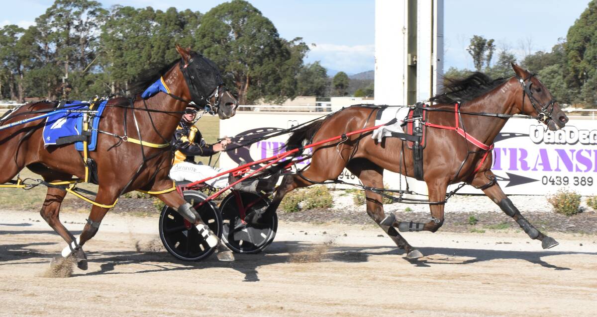Sunny Sanz, driven by Gareth Rattray, holds out Chasing Cheetahs to win the Carrick Cup. Picture: Stacey Lear