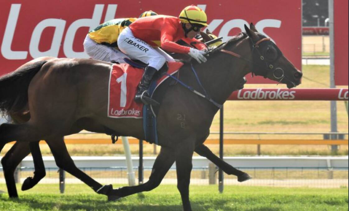 Strutt Stakes winner Miss Charlie Brown is an acceptor for a $130,000 race at Caulfield on Saturday.