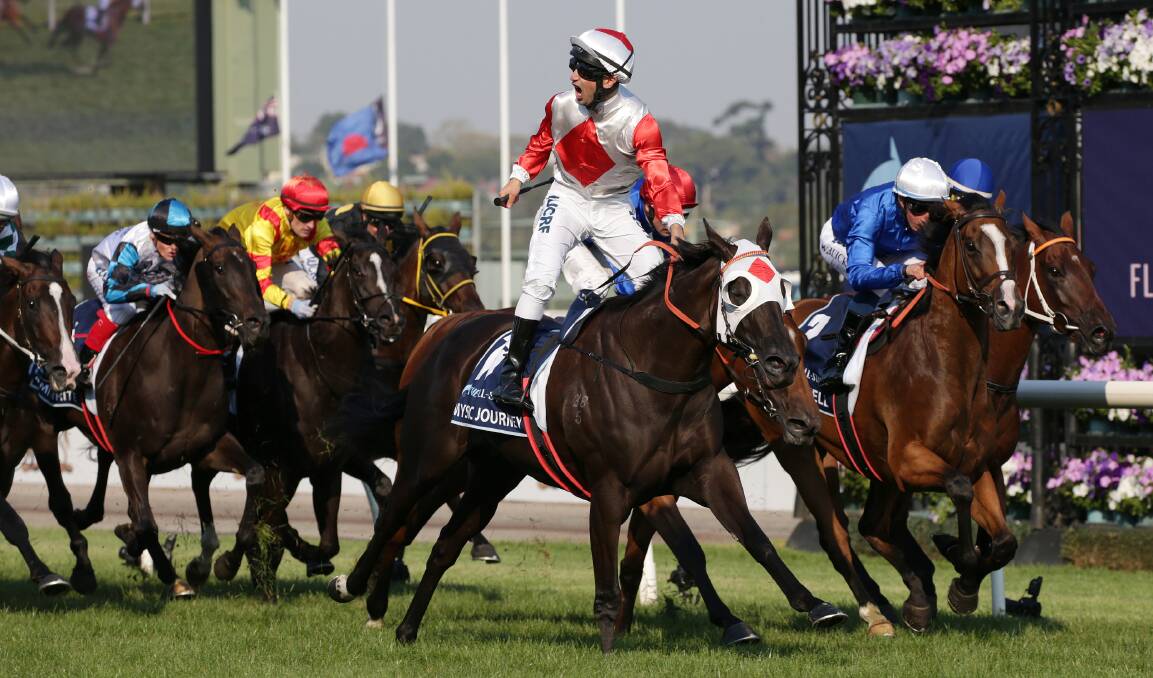 MOMENTOUS: Anthony Darmanin rises 
in celebration as Mystic Journey wins the 
All-Star Mile at Flemington on Saturday. 
Picture: George Salpigtidis AAP 