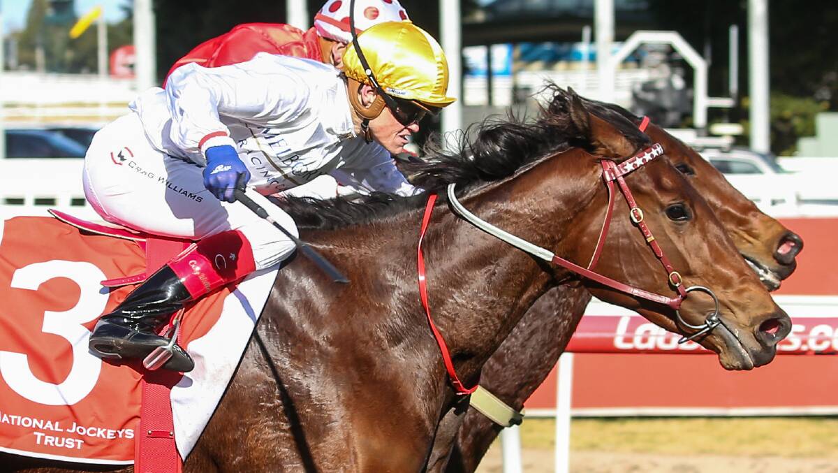 SO CLOSE: Tasmanian-bred fillies Moonlites Choice (outside) and Hot Dipped had a titanic battle at Caulfield on Saturday with only a nose separating them. Picture: Getty Images 