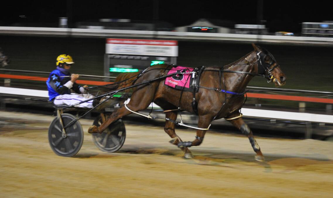 Rohan Hillier, second on the drivers' table, scores one of three Devonport wins on Metro Star.