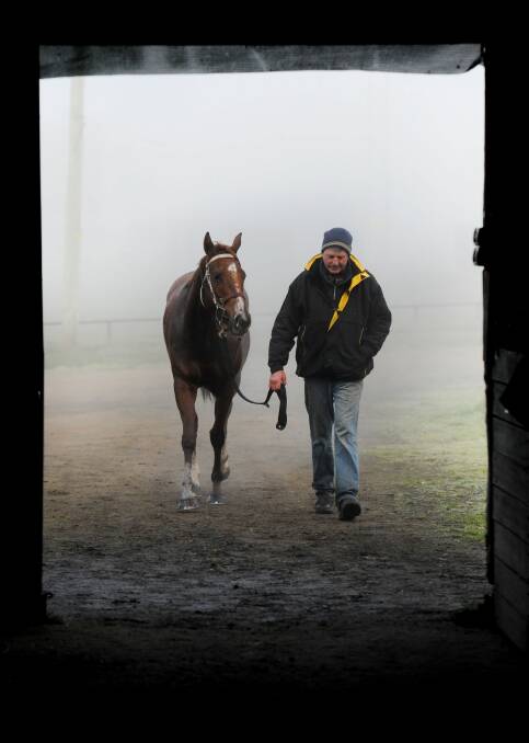 Early morning at the stables in 2012