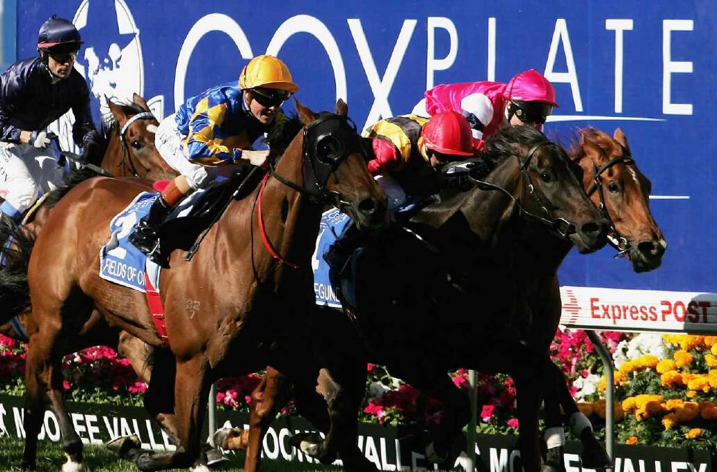 Pompeii Ruler (inside), ridden by Craig Newitt, is just edged out by Fields Of Omagh and El Segundo in 2006.