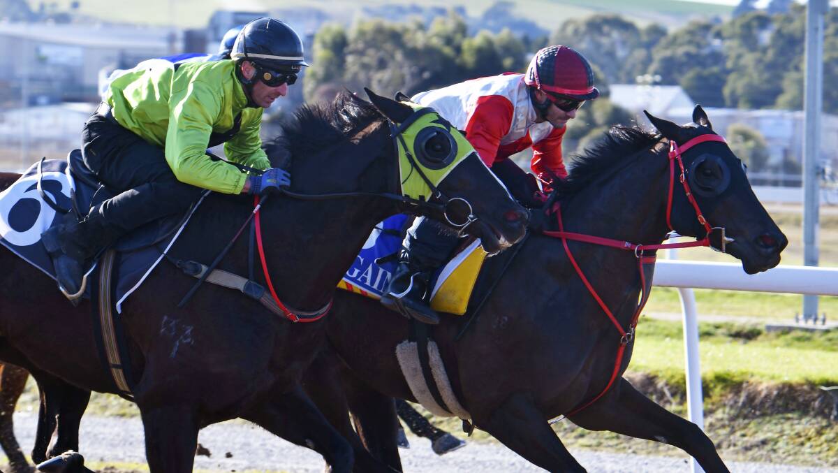 Top galloper Tshahitsi (outside) finished just in front on Mystic Journey in their trial at Spreyton on Tuesday.