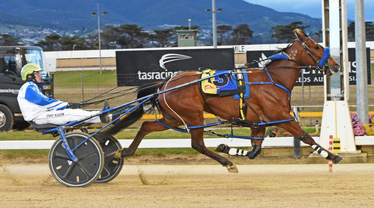 HE'S COOL: Cool Water Paddy wins a heat of the ADC in Hobart on Saturday night for Victorian reinsman Darby McGuigan. Picture: Stacey Lear