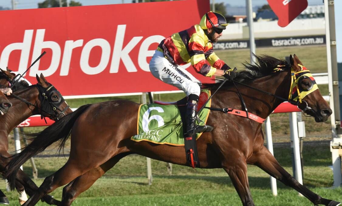 TRIP ON HOLD: Take The Sit, ridden by Bulent Muhcu, wins the Magic Millions Classic at Mowbray in February. She has won another three races since but will now be spelled rather than go to Melbourne. 