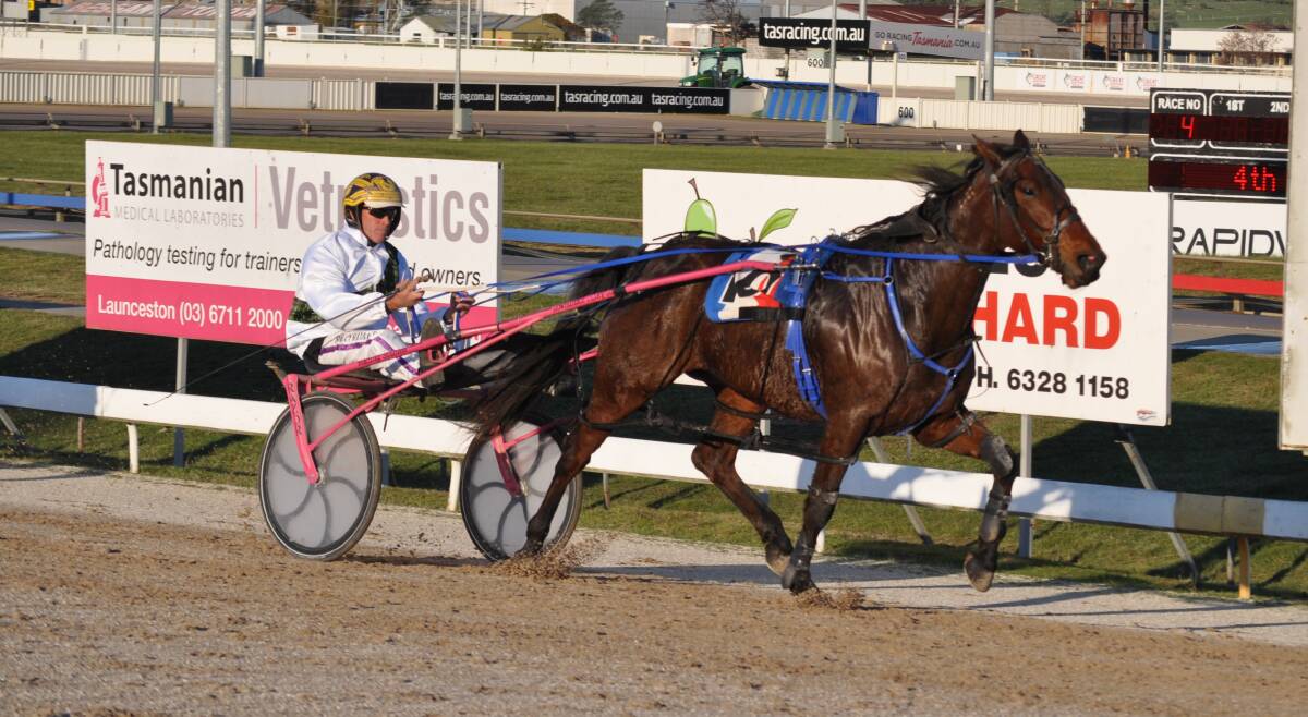 HOME-TOWN TARGET: Scottsdale-trained pacer Buster William and driver Rohan Hillier will be chasing victory in Friday night's North Eastern Pacing Cup. Picture: Greg Mansfield 