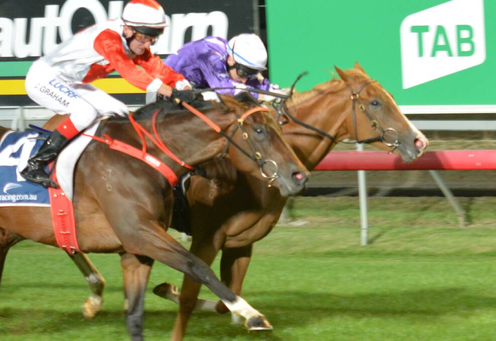 CLOSE CALL: Mystical Pursuit (outside) ridden by Chris Graham, jhust beats Deroche (Craig Newitt) in Wednesday night's Gold Sovereign Stakes at Mowbray. 