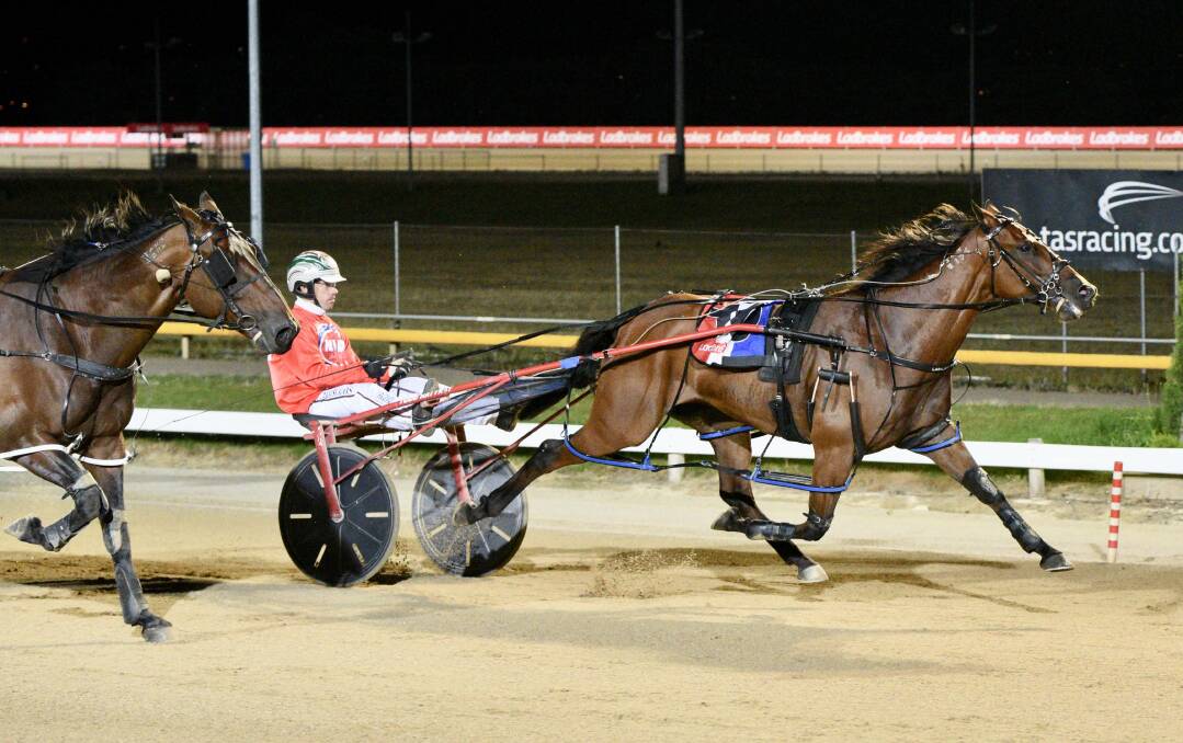 CLASS ABOVE: Triple Eight is eased down by Greg Sugars as he wins his Tasmania Cup heat in Hobart on Sunday night. Picture: Duncan Dornauf