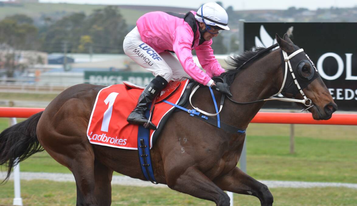 NO DILEMMA: Longford trainer Peter Luttrell continued his good run when former South Australian galloper Ethical Dilemma, ridden by Bulent Muhcu, scored at Spreyton on Sunday.