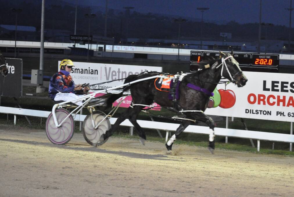 UNBEATEN: Im Compliant, driven by Rohan Hillier, makes it four wins from four Tasmanian starts at Mowbray on Sunday night. Picture: Greg Mansfield