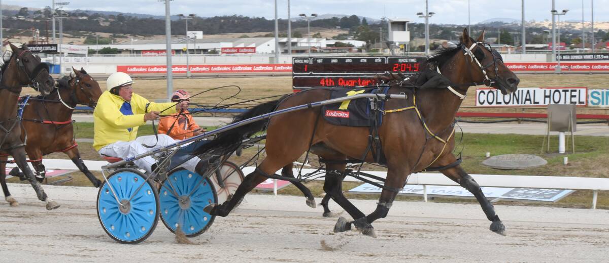 UNUSUAL: Jimmy De Panda, driven by Peter Dornauf, wins the first harness race at the combined meeting at Mowbray. Picture: Stacey Lear