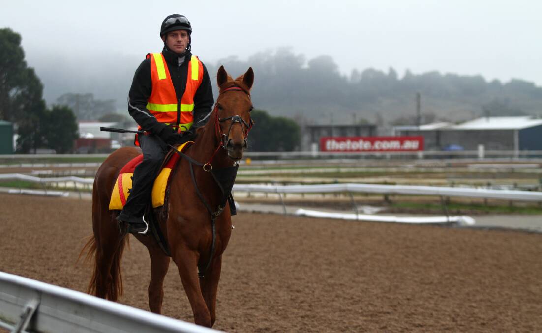 TRACKWORK: Riding trackwork on the new synthetic surface at Spreyton in 2011, shortly after returning home.