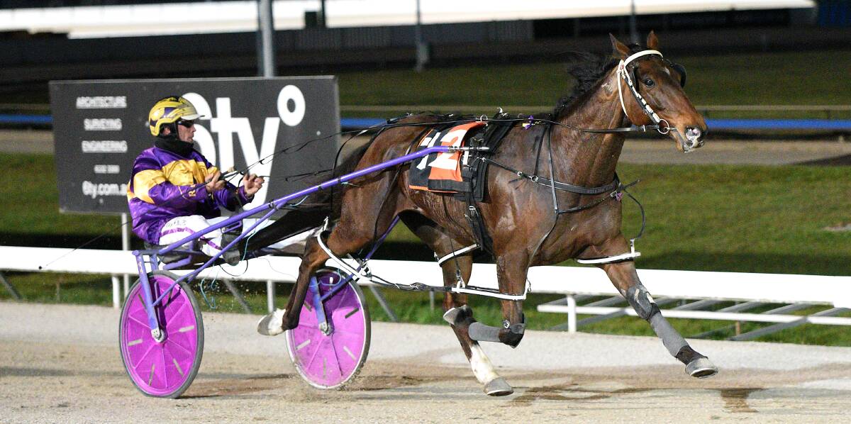 RECORD: Ryley Major (Rohan Hillier) wins the Show Cup at Mowbray on Sunday night. Picture: Stacey Lear