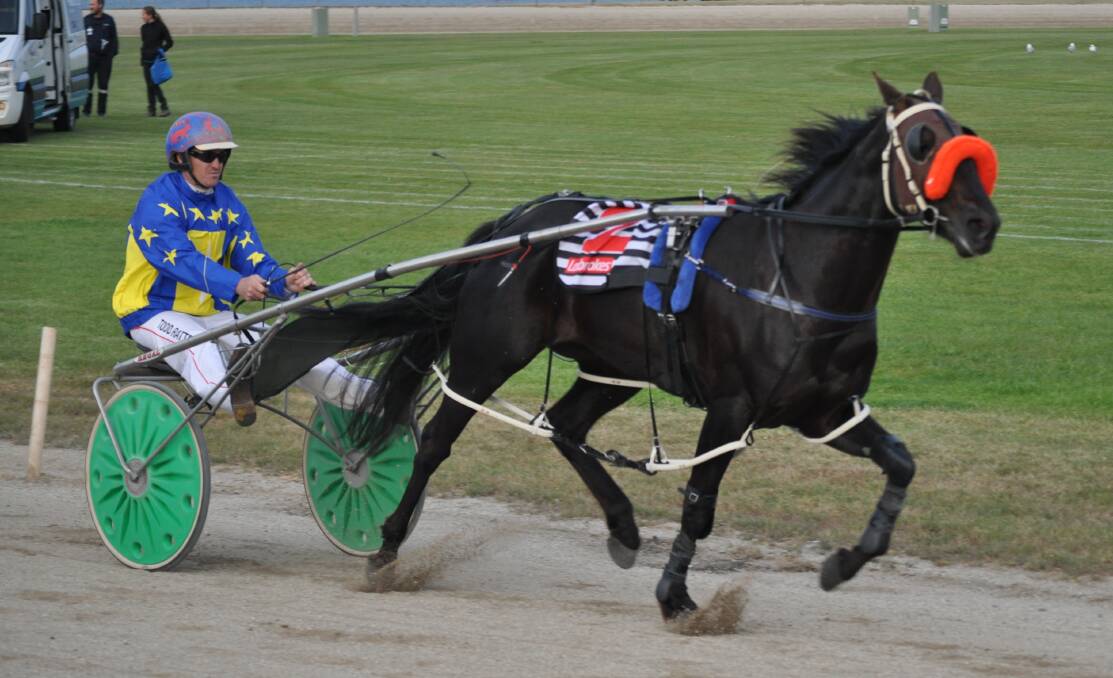 OVERDUE: Island Bliss, driven by Todd Rattray, wins at Burnie on Friday night. Picture: Greg Mansfield