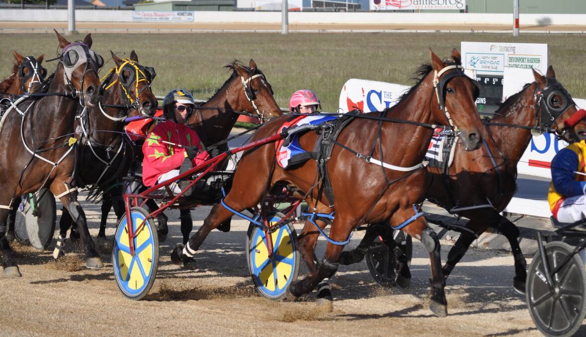 NOT KIDDING: The Lemondrop Kid, driven by Troy McDonald, on his way to a win at Devonport on Friday night. Picture: Greg Mansfield