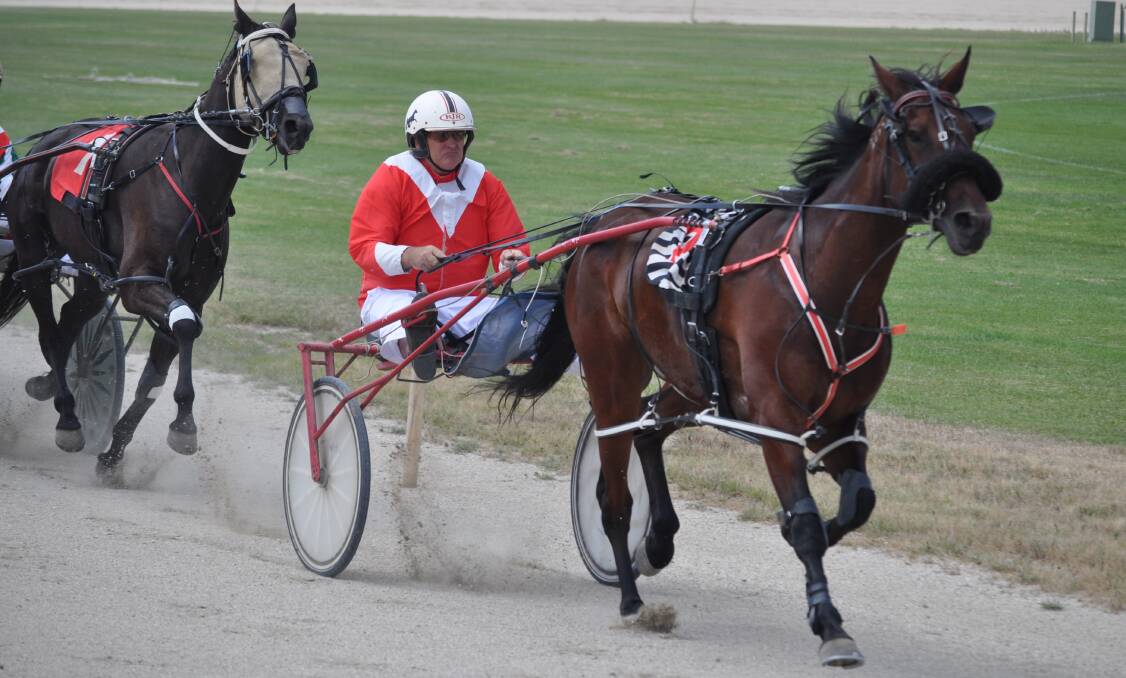 Polemarker Hafter brought the top price at the calcutta on Sunday night's Burnie Cup.