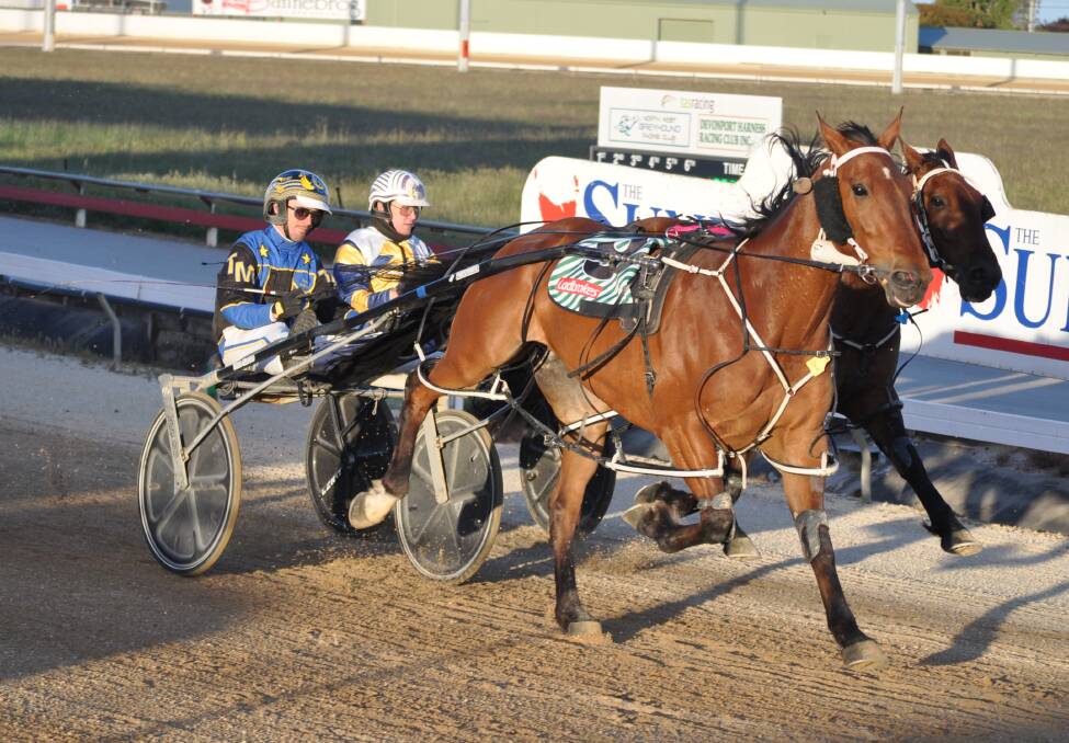Somedan, driven by Troy McDonald, was one of Ben Yole's two winners at Devonport last Friday night.