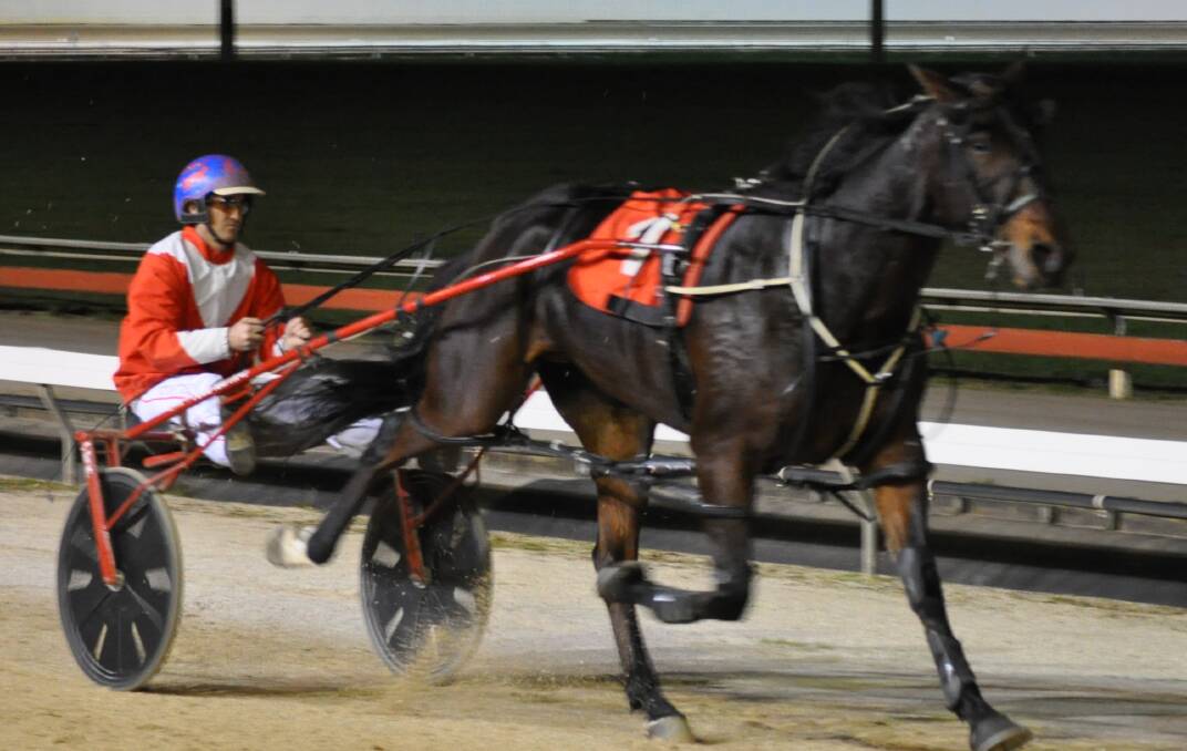 HE'S BACK: The Todd Rattray-trained Harjeet made a winning return to racing in Hobart on Sunday night.