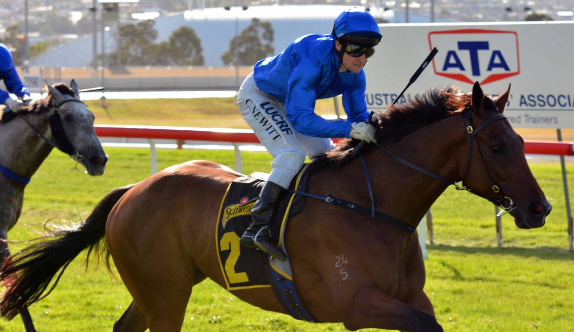FIRST TIME: Craig Newitt wins the Tasmanian Derby for his first time on Cossetot, Godolphin's first runner in the state.
