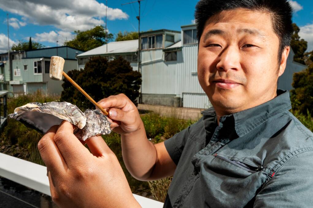 Musician Yyan Ng with oyster shells to be used in his boatshed performance. Picture: Phillip Biggs