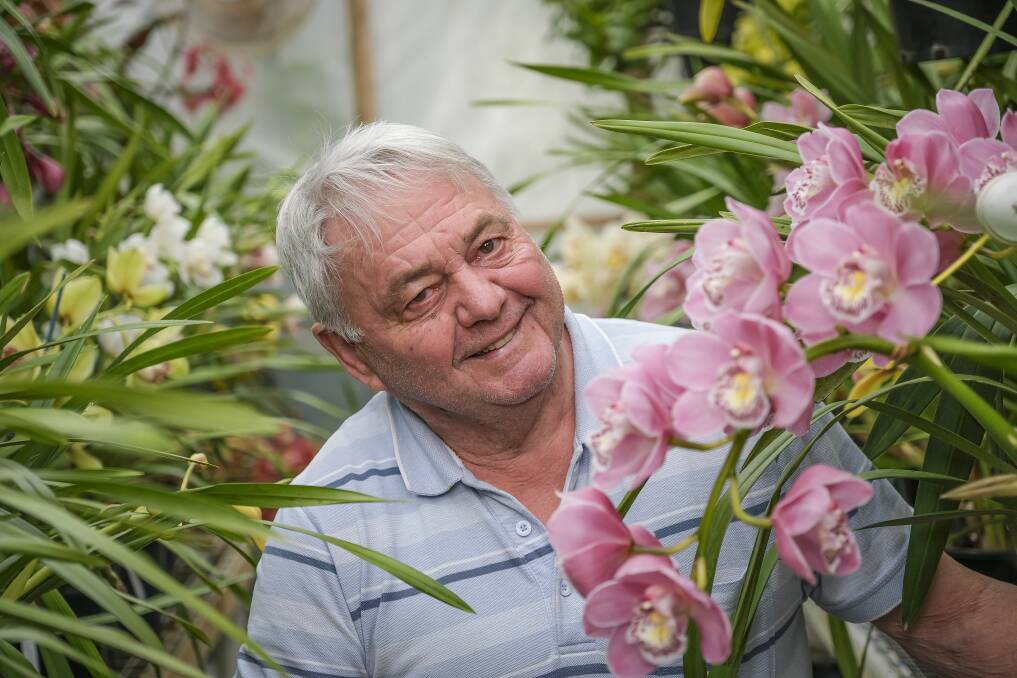 Romain Elinck ready for Launceston Orchid Society's annual spring show. Picture: Craig George