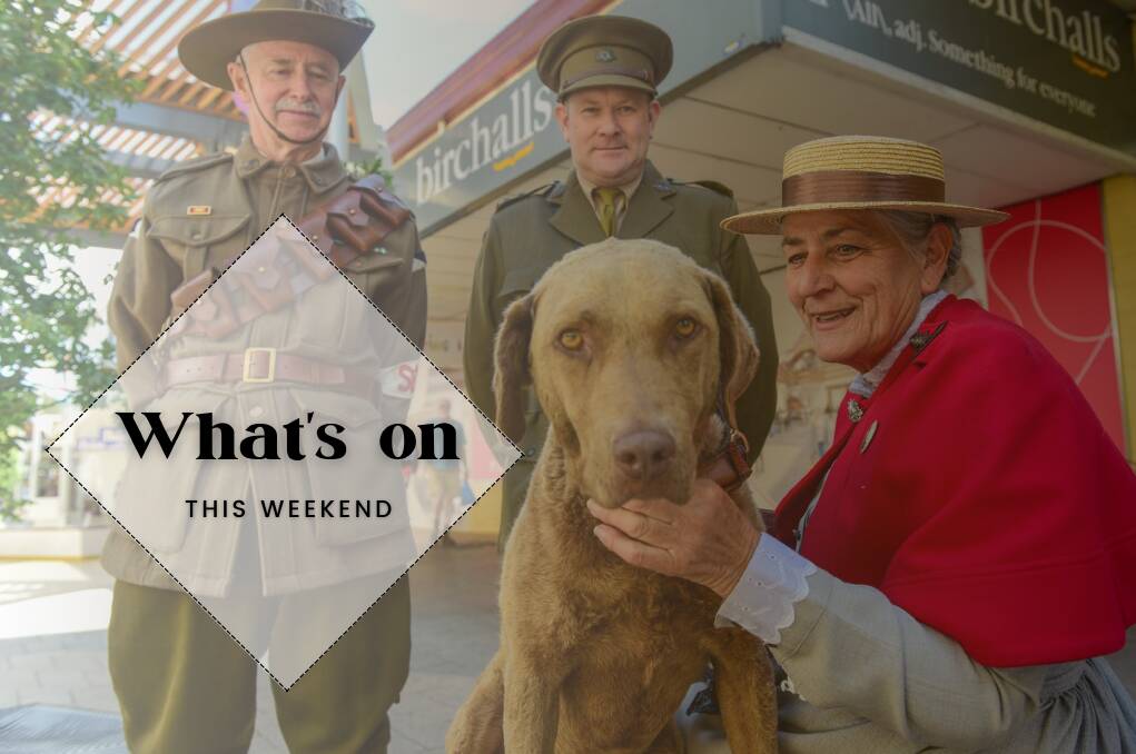 Wayne Binns, Terese Binns with Coco the dog, of the Northern Tasmanian Light Horse Troop joined by Jerrod Oliver of Smithton. Picture: Paul Scambler
