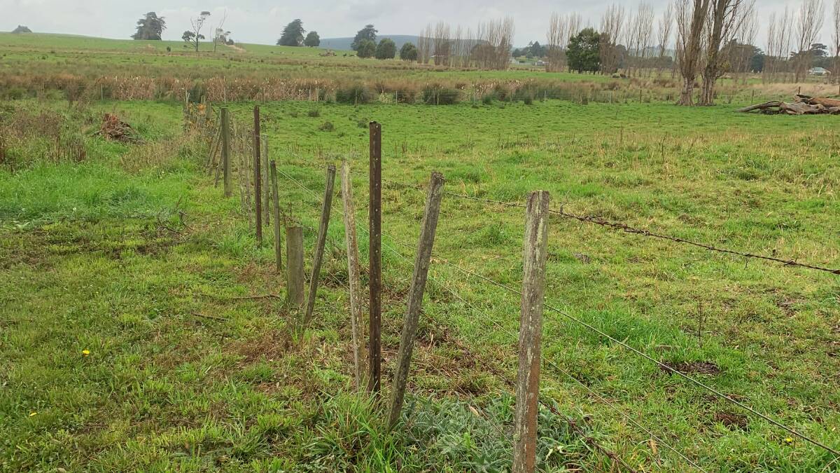 The old fencing at Winnaleah District High School Farm was making stock management difficult. 