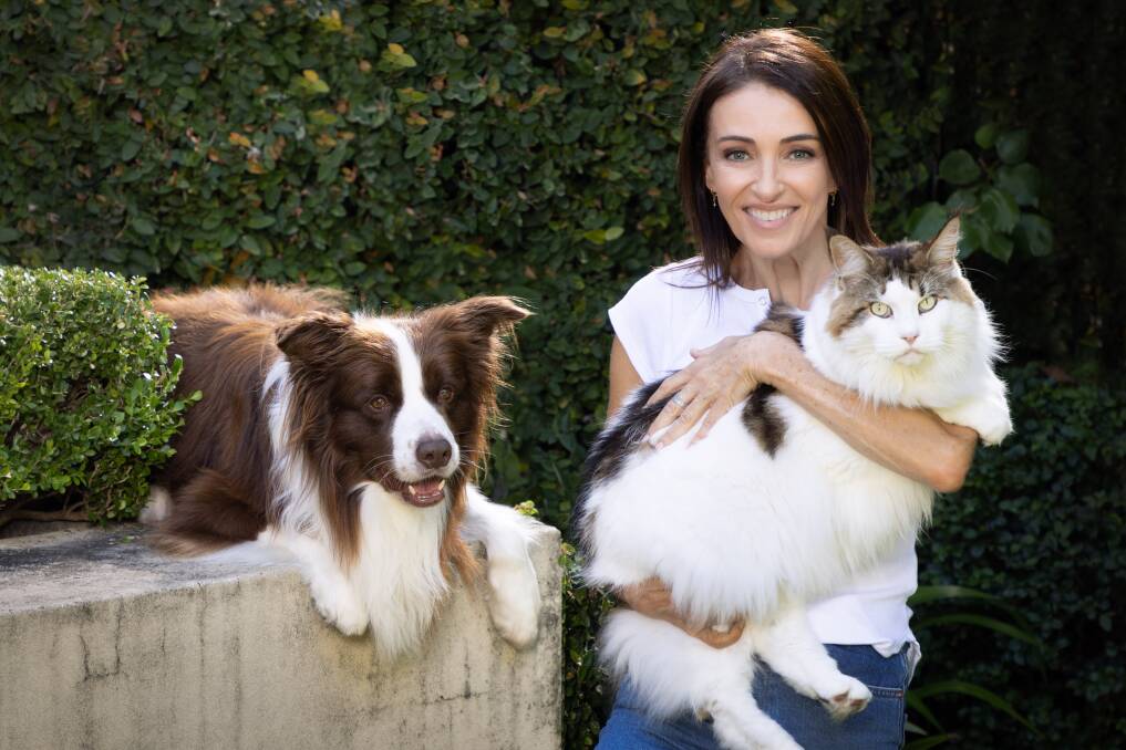 Dr Katrina Warren with her dog Chilli and cat Leo. Picture supplied 