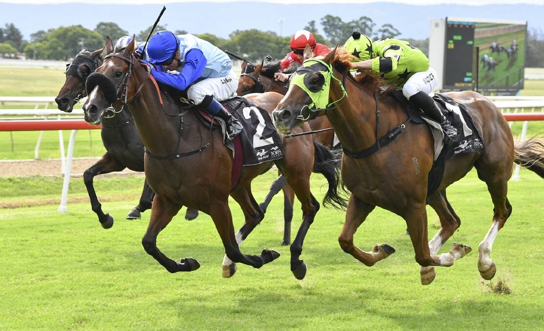 Owen County is tipped to win Race 4, the Ghaiyyath First Yearlings Handicap over 2110 metres at Warwick Farm. Picture Bradley Photos