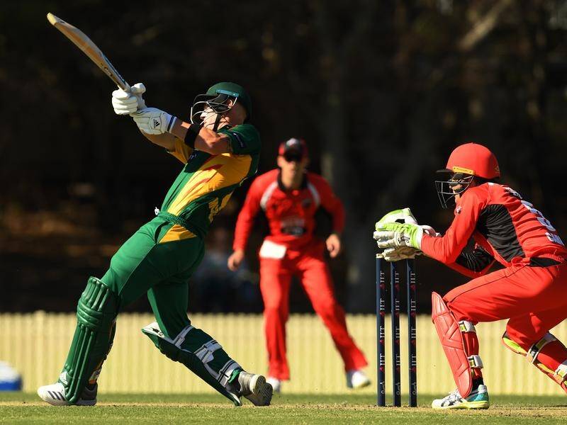 Ben McDermott has been in scintillating limited overs form for Tasmania.