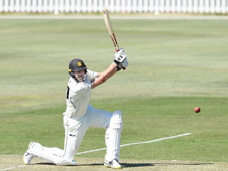 Rising star Cameron Green made 56 in Western Australia's first innings against South Australia.