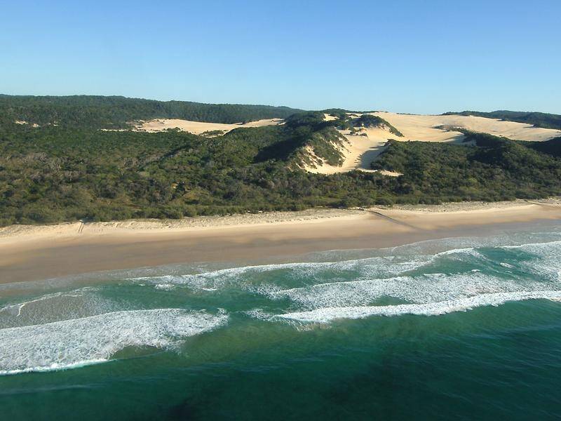 A spearfisherman has been killed in a shark attack off Queensland's Fraser Island.