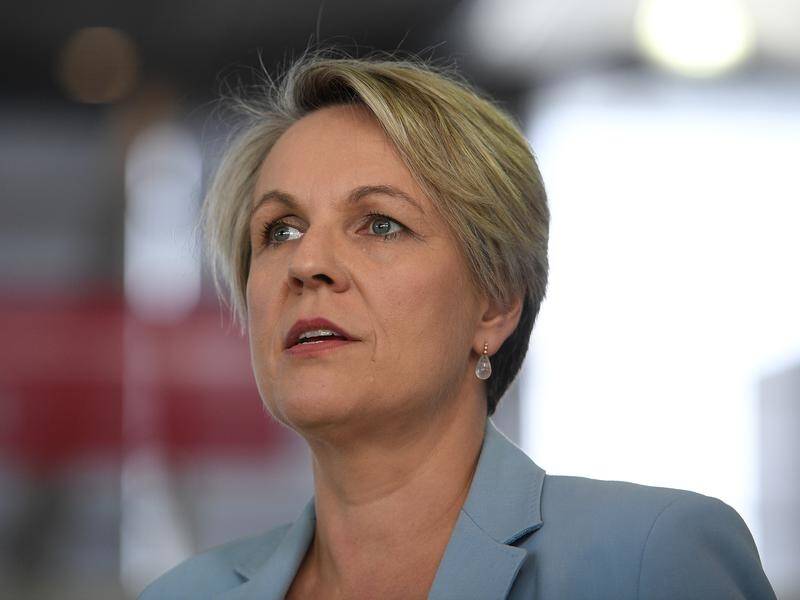 Tanya Plibersek says plans to increase fees for some uni degrees is causing angst for many parents.